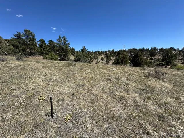565 Le Conte Drive Livermore, CO 80536