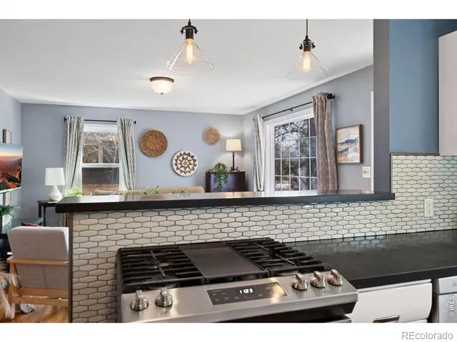 924 Sycamore Street Fort Collins, CO 80521