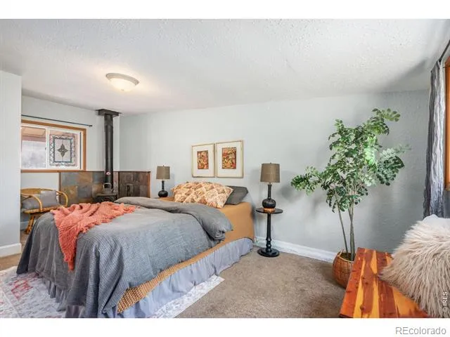 924 Sycamore Street Fort Collins, CO 80521