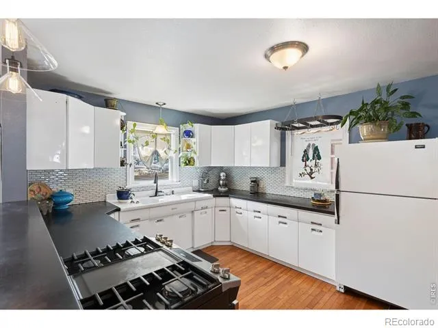 924 Sycamore Street Fort Collins, CO 80521