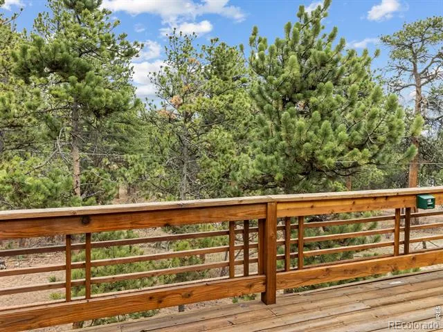 1431 S Saint Vrain Avenue #B Estes Park, CO 80517