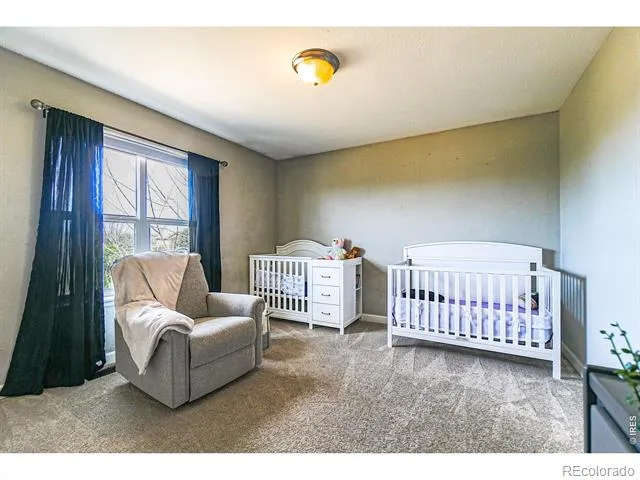 3938 Vale View Lane Mead, CO 80542