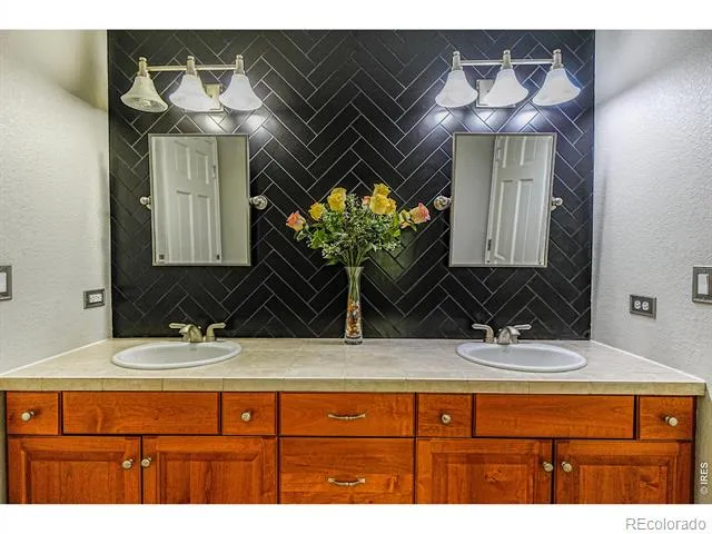 3938 Vale View Lane Mead, CO 80542