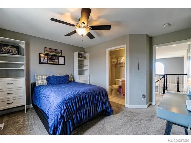 3938 Vale View Lane Mead, CO 80542