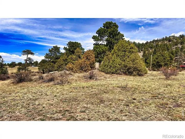 342 Meadowview Drive Estes Park, CO 80517