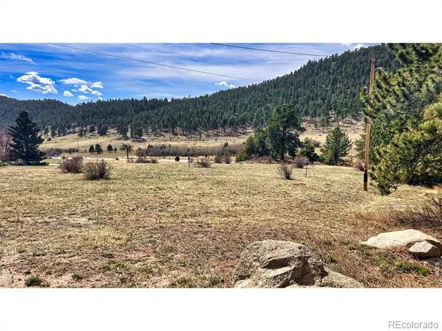342 Meadowview Drive Estes Park, CO 80517
