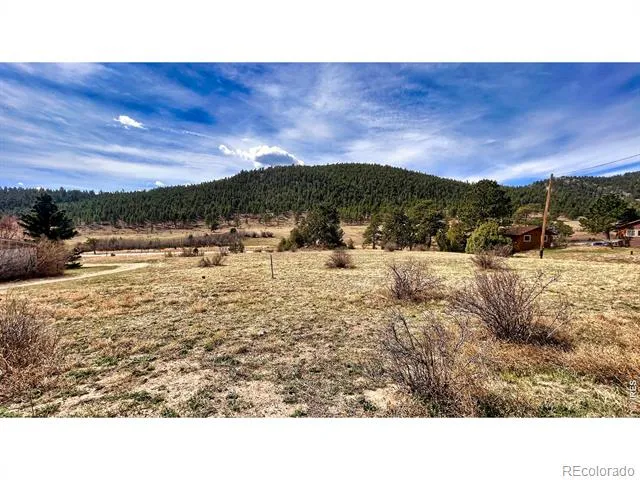 342 Meadowview Drive Estes Park, CO 80517