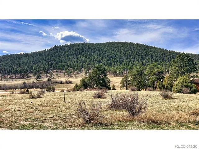 342 Meadowview Drive Estes Park, CO 80517