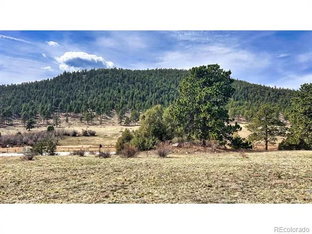 342 Meadowview Drive Estes Park, CO 80517