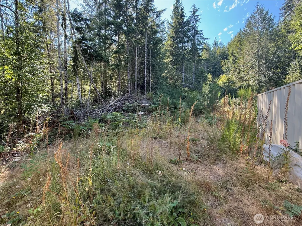 181 Rustic Ridge Drive Lilliwaup, WA 98555