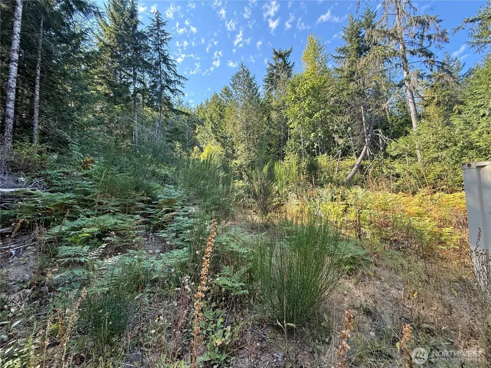 181 Rustic Ridge Drive Lilliwaup, WA 98555