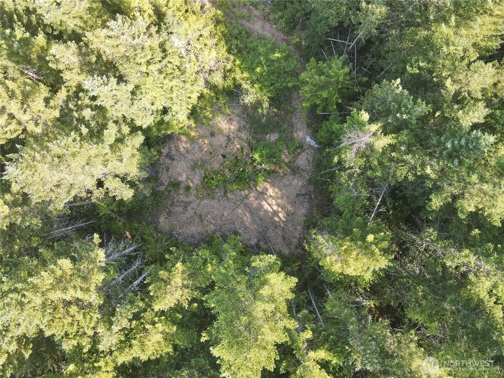 181 Rustic Ridge Drive Lilliwaup, WA 98555