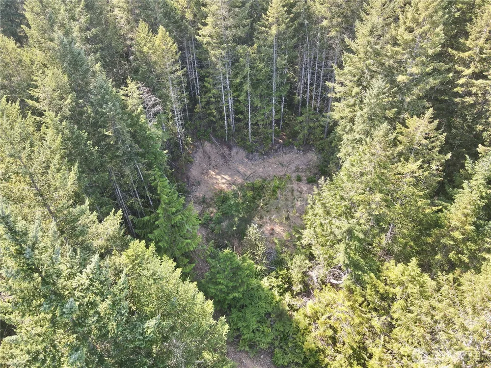 181 Rustic Ridge Drive Lilliwaup, WA 98555