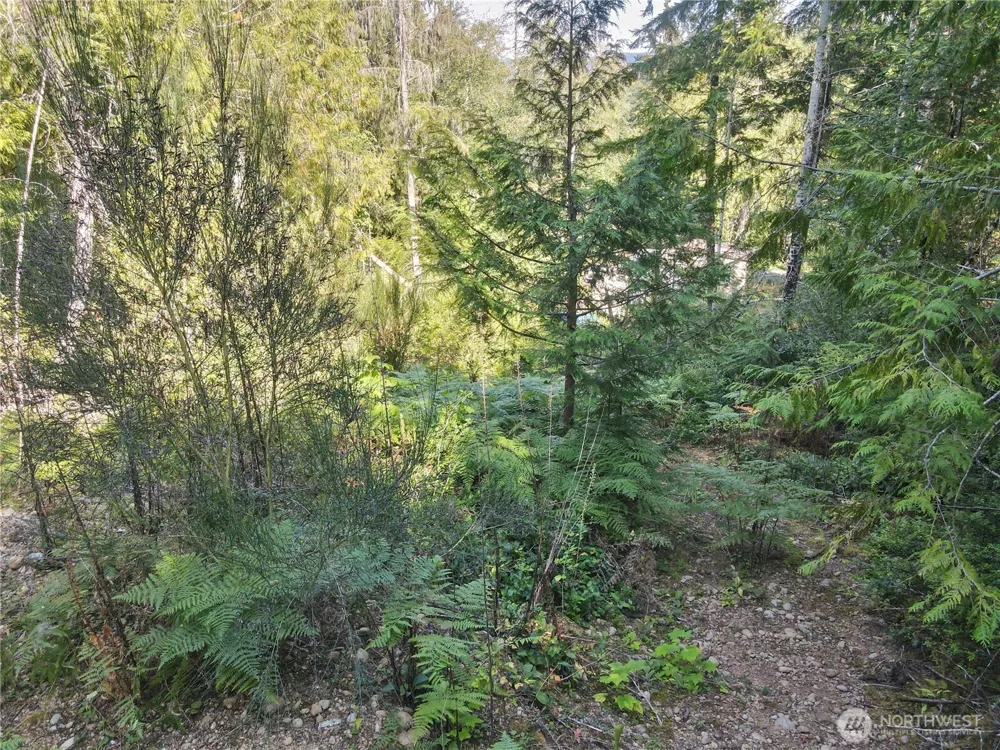 181 Rustic Ridge Drive Lilliwaup, WA 98555