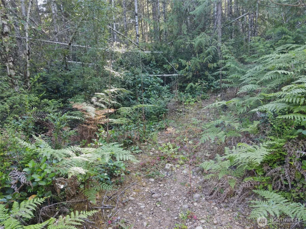 181 Rustic Ridge Drive Lilliwaup, WA 98555