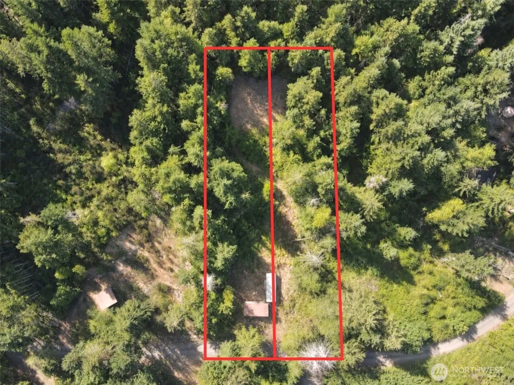 181 Rustic Ridge Drive Lilliwaup, WA 98555