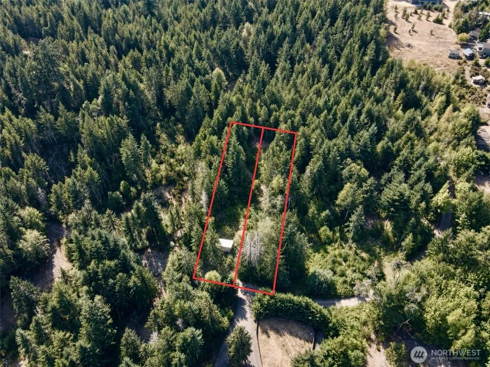 181 Rustic Ridge Drive Lilliwaup, WA 98555