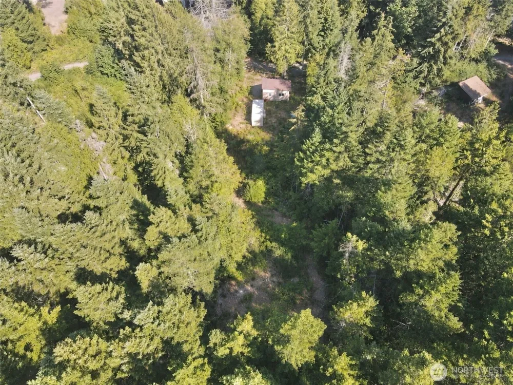 181 Rustic Ridge Drive Lilliwaup, WA 98555