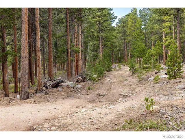 0 1st Street Nederland, CO 80466