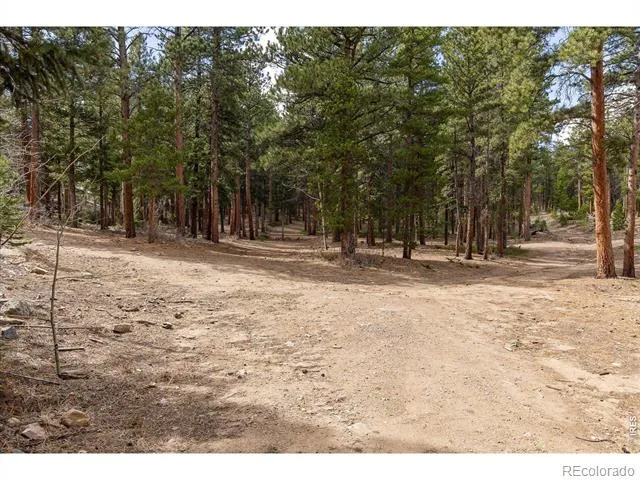 0 1st Street Nederland, CO 80466