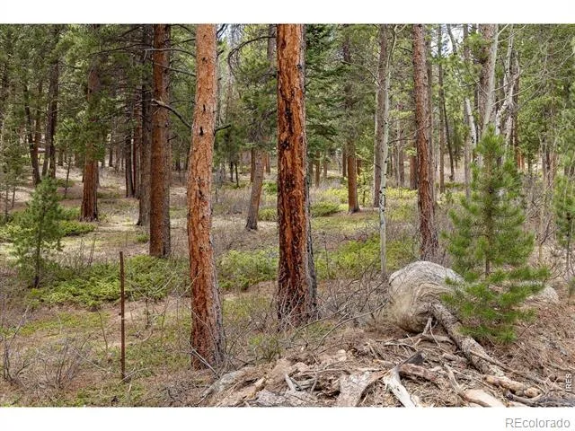 0 1st Street Nederland, CO 80466