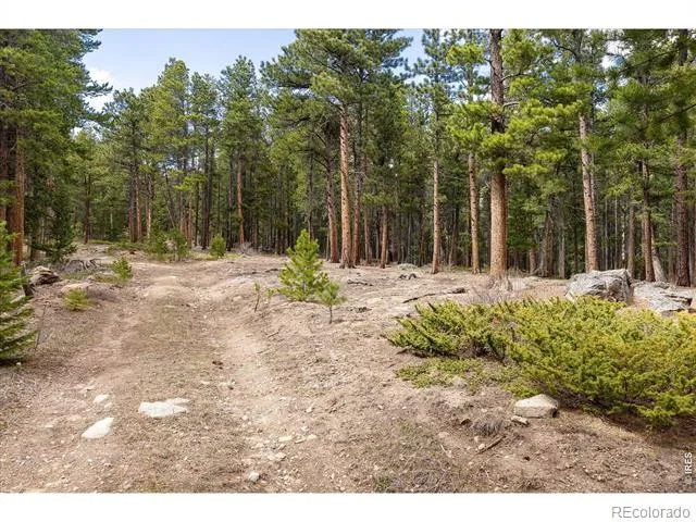 0 1st Street Nederland, CO 80466