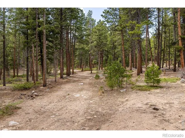0 1st Street Nederland, CO 80466