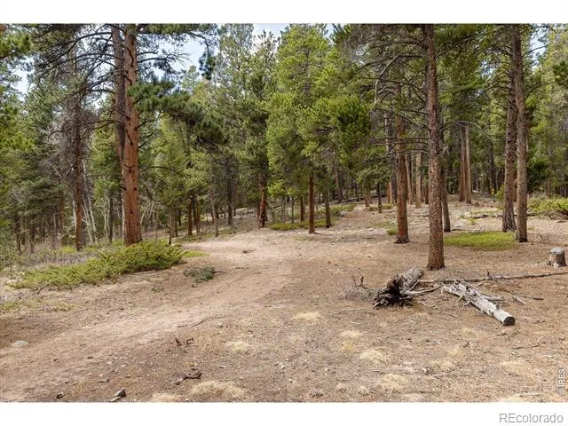 0 1st Street Nederland, CO 80466