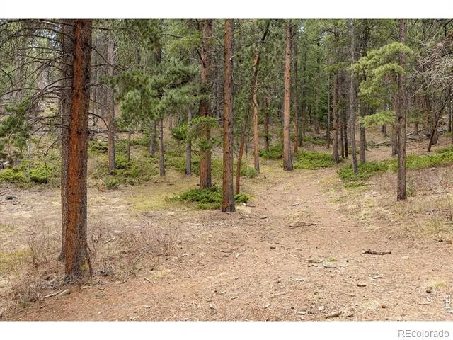 0 1st Street Nederland, CO 80466