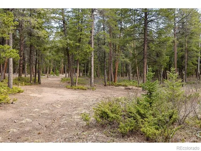 0 1st Street Nederland, CO 80466