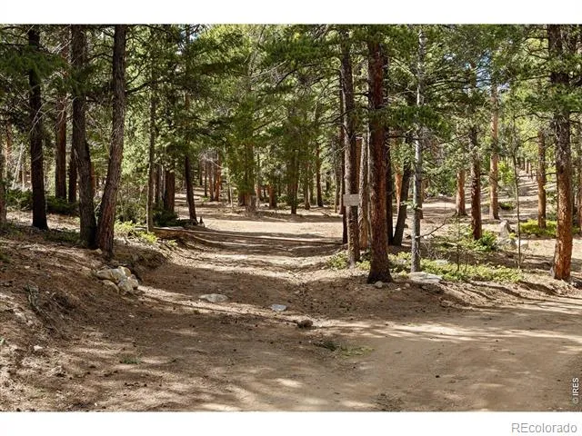 0 1st Street Nederland, CO 80466