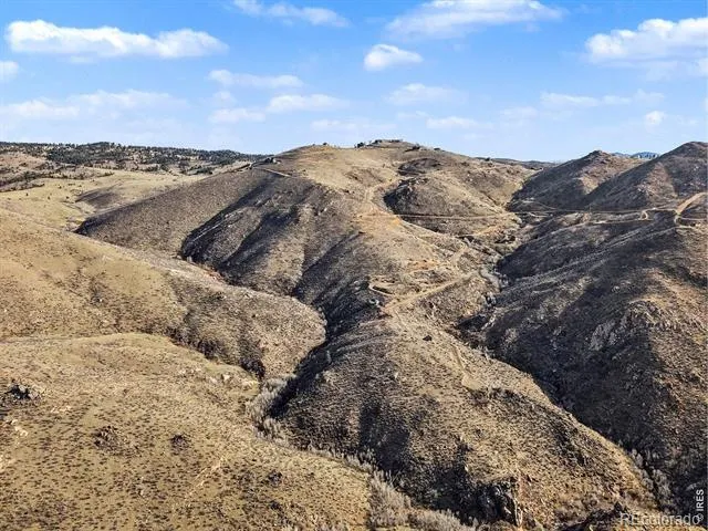 1634 Horse Mountain Drive Livermore, CO 80536