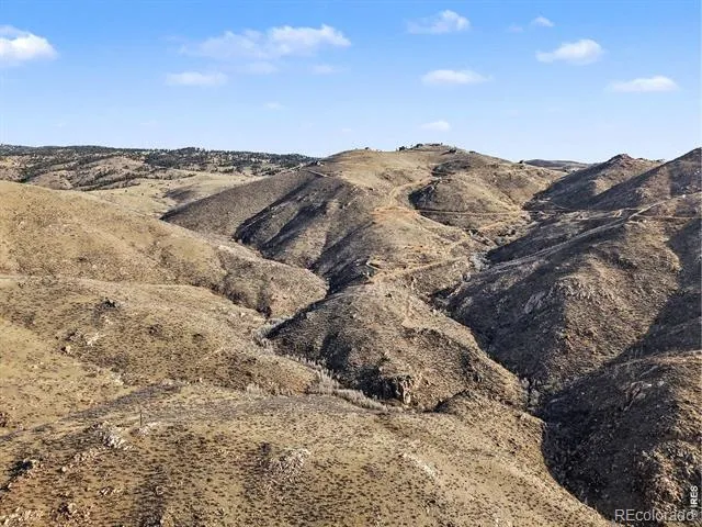 1634 Horse Mountain Drive Livermore, CO 80536