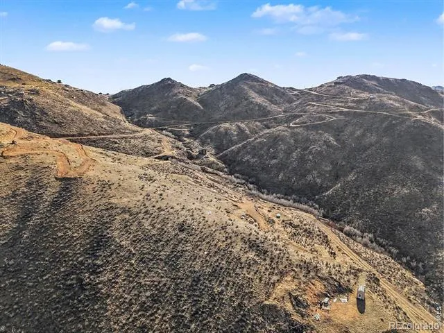 1634 Horse Mountain Drive Livermore, CO 80536