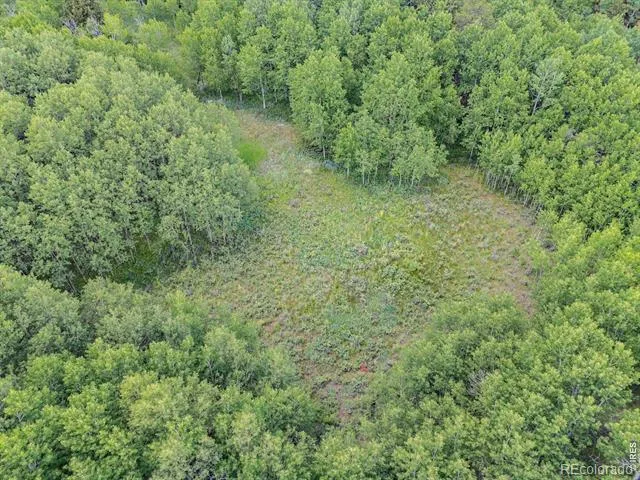 1568 County Road 103 Nederland, CO 80466
