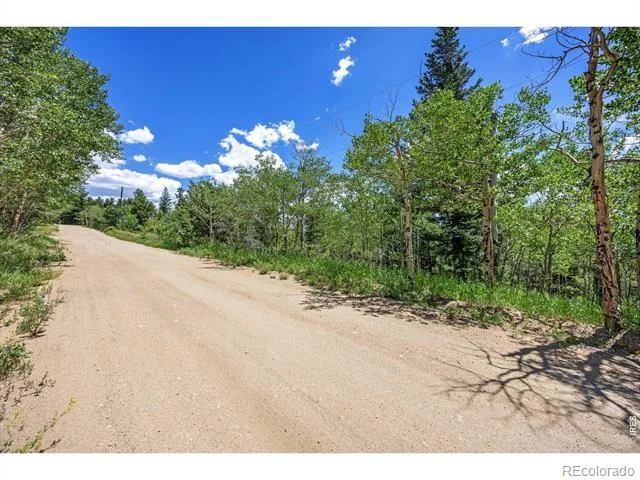 1568 County Road 103 Nederland, CO 80466