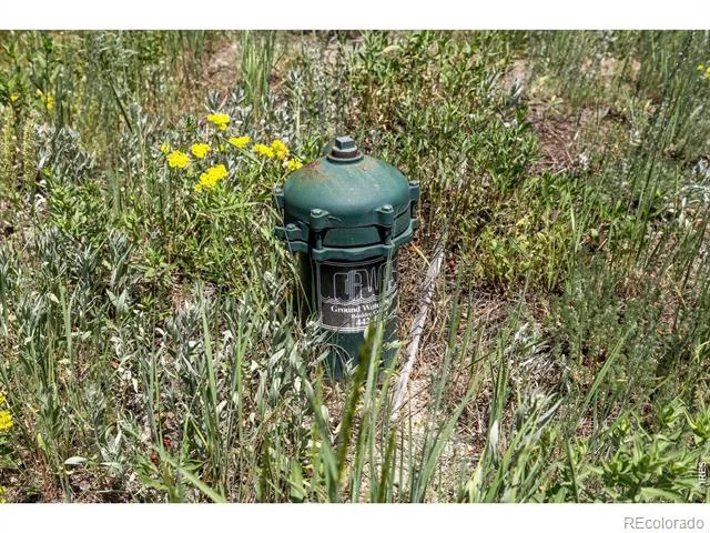 1568 County Road 103 Nederland, CO 80466