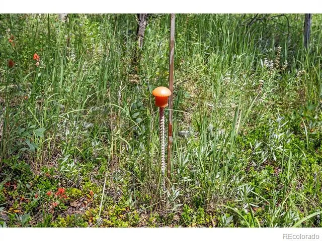 1568 County Road 103 Nederland, CO 80466