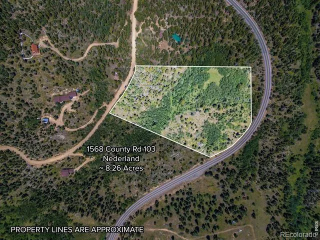 1568 County Road 103 Nederland, CO 80466