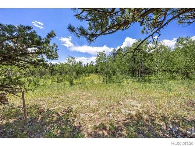 1568 County Road 103 Nederland, CO 80466