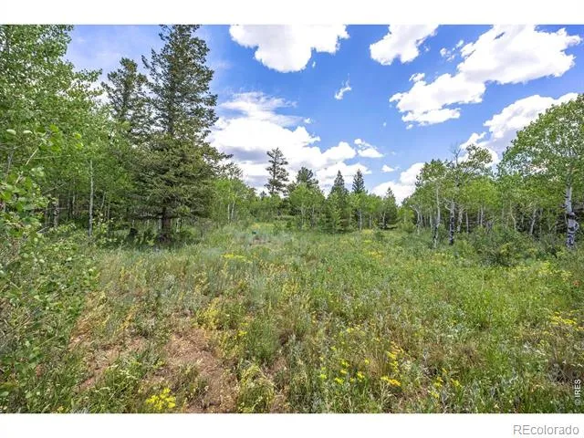 1568 County Road 103 Nederland, CO 80466
