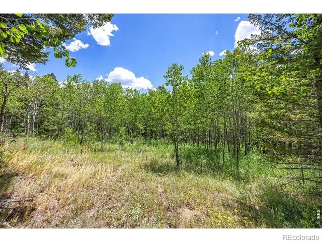 1568 County Road 103 Nederland, CO 80466