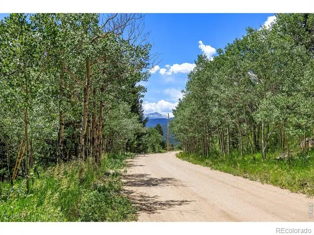 1568 County Road 103 Nederland, CO 80466