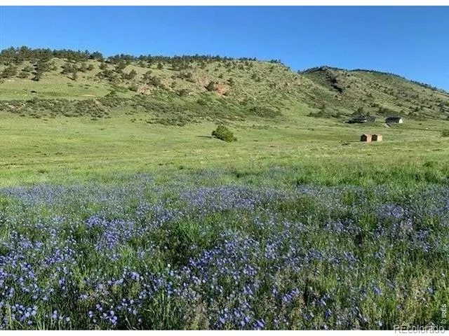223 Stone Canyon Road Lyons, CO 80540