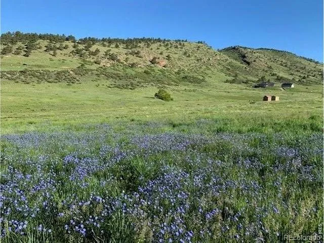 223 Stone Canyon Road Lyons, CO 80540