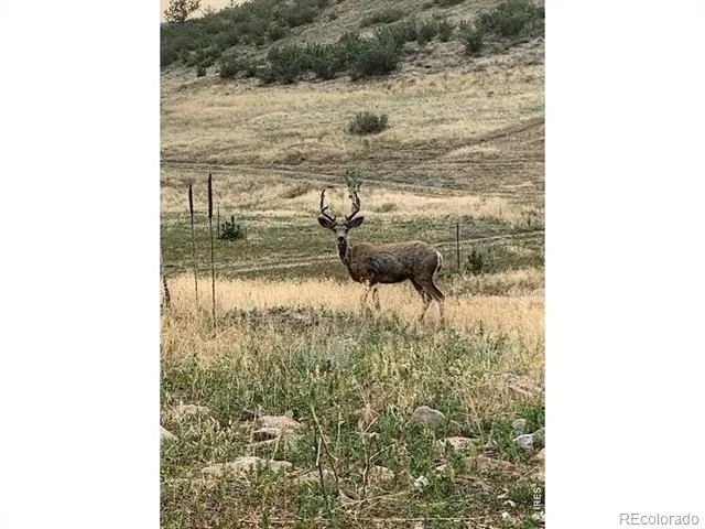 223 Stone Canyon Road Lyons, CO 80540