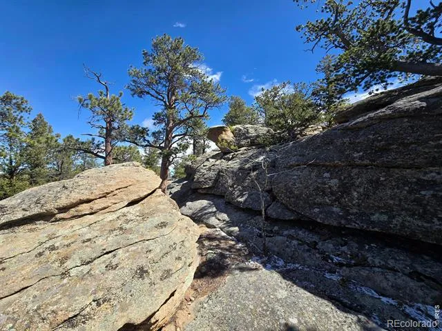 0 Sinisippi Road Red Feather Lakes, CO 80545