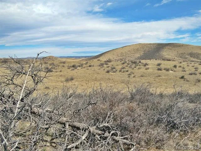 0 Gordon Creek Lane Livermore, CO 80536
