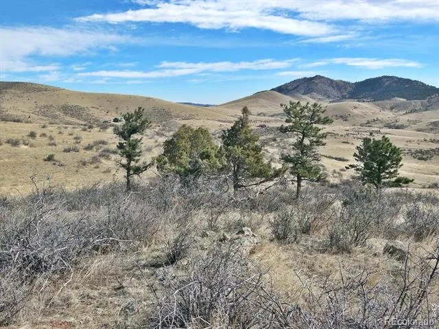 0 Gordon Creek Lane Livermore, CO 80536