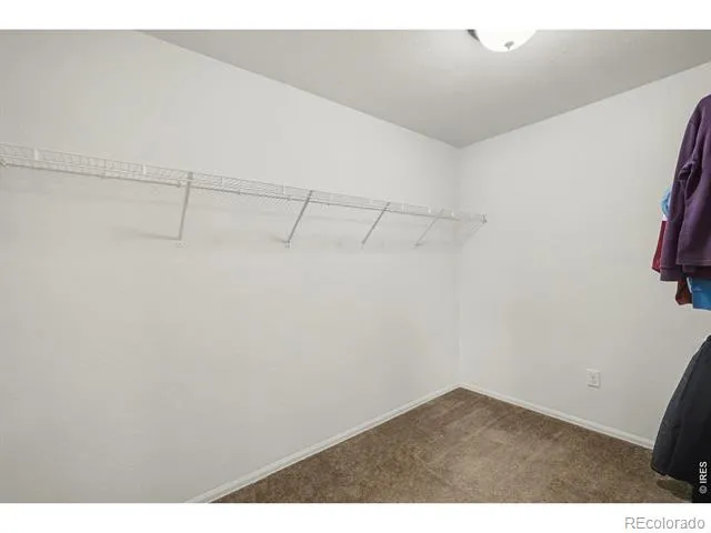 1542 Woodcock Street Berthoud, CO 80513